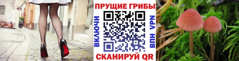 как найти наркотики  Уяр  hydra зеркало  Псилоцибиновые грибы мицелий 